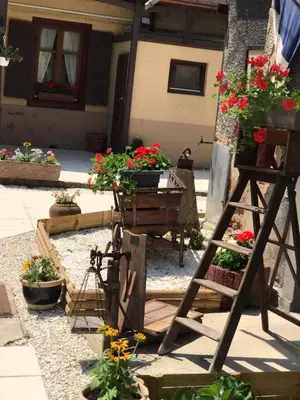 Jardin de l'établissement Maison avec terrasse Colmar Centre-Cottage garden terrace Center Old Town Colmar