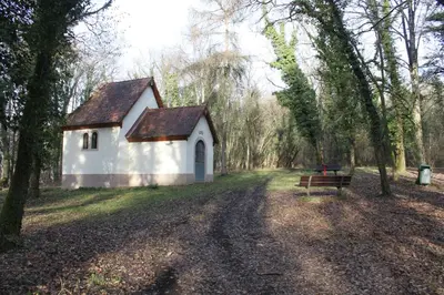 Jardin de l'établissement Gites d'Illfurth