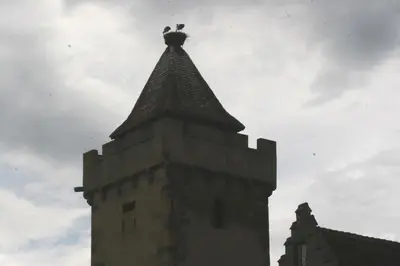 Plan de l'établissement Gite duplex du vignoble Alsace