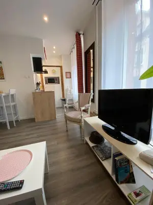 Télévision ou salle de divertissement dans l'établissement L'Ours de Colmar - Appartements en centre ville