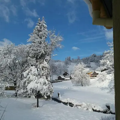 L'établissement Location Elfe en hiver