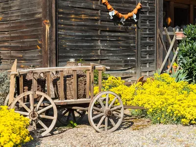 Jardin de l'établissement Au pré des Poulains