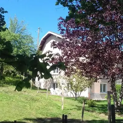 L'oriere des Bois
