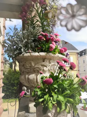 Jardin de l'établissement Castelnau