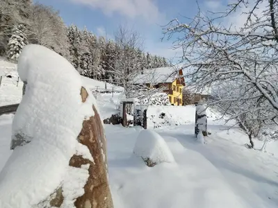 L'établissement La Maison Jaune en hiver