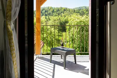 Balcon ou terrasse dans l'établissement Logis Hotel Des Vosges
