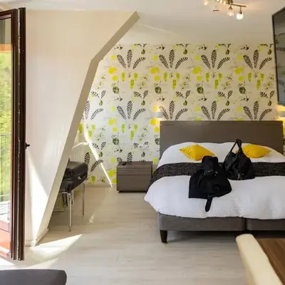 Logis Hotel Des Vosges