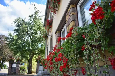 Jardin de l'établissement Hôtel Deybach