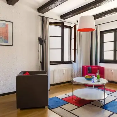 Little Bartholdi - Appartement Colmar Hyper Centre