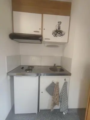 Cuisine ou kitchenette dans l'établissement Les studios du frankenthal