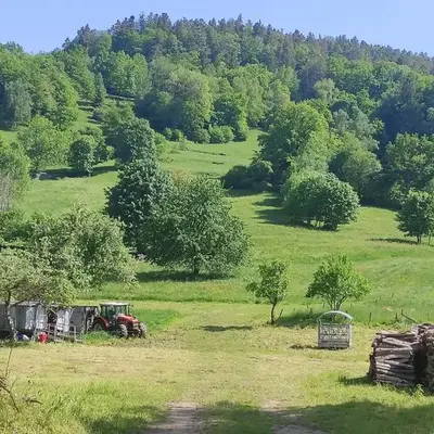 Les studios du frankenthal
