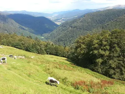 Paysage naturel près de le chalet