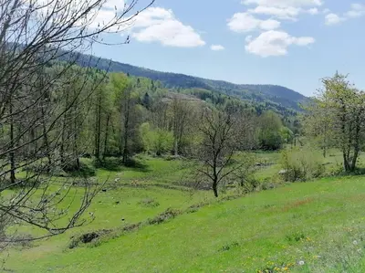 Paysage naturel près de la maison de vacances