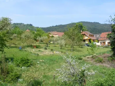 Paysage naturel près de l'appartement