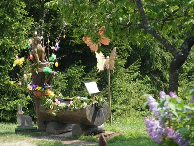 Jardin de l'établissement Gîte MARTINS