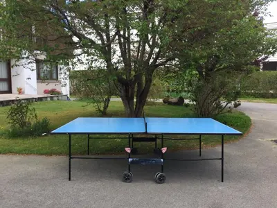 Tennis de table au sein de l'établissement L'Ecureuil ou à proximité