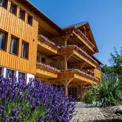 LES GÎTES D'ADELSPACH - Gîtes 4 étoiles Nature & Spa