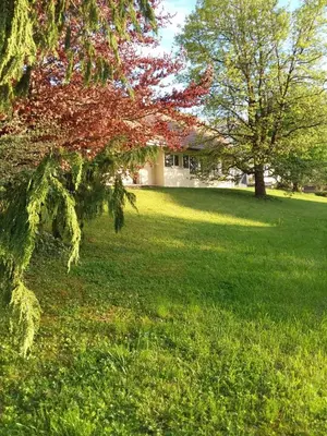 Jardin de l'établissement Le grivé