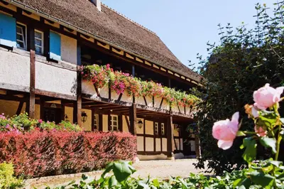 Jardin de l'établissement Auberge et Hostellerie Paysanne