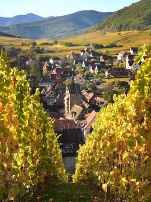 Vue générale sur la montagne ou vue sur la montagne depuis le B&B/chambre d'hôtes
