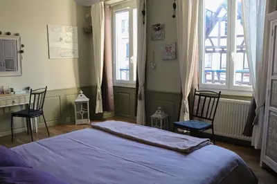 Un ou plusieurs lits dans un hébergement de l'établissement Gite Moka45 Centre historique 