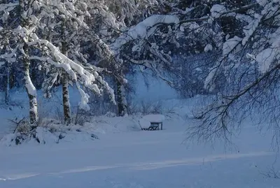 L'établissement Auberge De La Poulcière en hiver