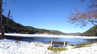 Paysage naturel près de la maison de vacances