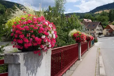 Vue générale sur la montagne ou vue sur la montagne depuis l'appartement