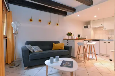 Cuisine ou kitchenette dans l'établissement Appartement La Terrasse sur cour