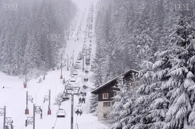 L'établissement studio des écureuil en hiver