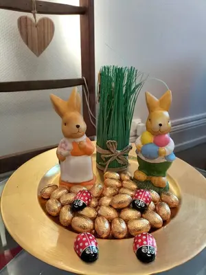 Nourriture dans l'appartement ou à proximité