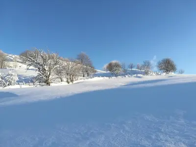 L'établissement Gîtes de Moyenmont en hiver