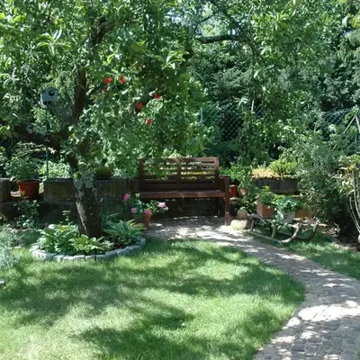 Grand Gite Angelique avec Jardin - Centre Ribeauvillé