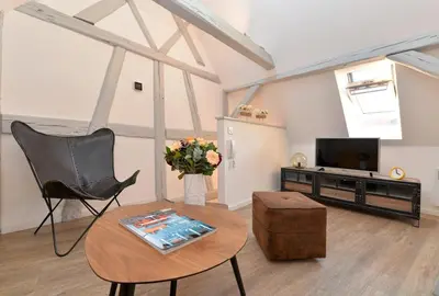 Télévision ou salle de divertissement dans l'établissement Appartement La petite terrasse sur les toits