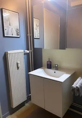Salle de bains dans l'établissement Bel Appartement near Bâle Mulhouse Airport