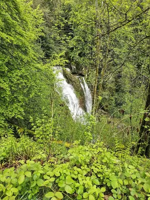 Paysage naturel près de la maison de vacances