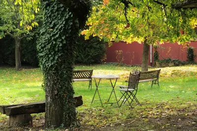 Jardin de l'établissement Gite coté jardin FAHRER ACKERMANN