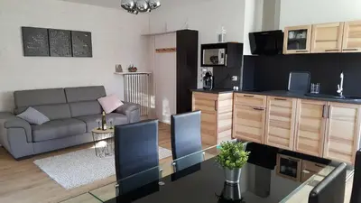 Cuisine ou kitchenette dans l'établissement Au Petit Bonheur Charmant Gite Colmar