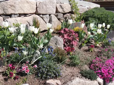Jardin de l'établissement Au Bout du Chemin