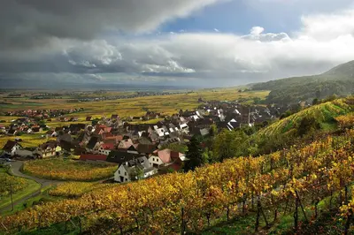 Paysage naturel près de l'appartement