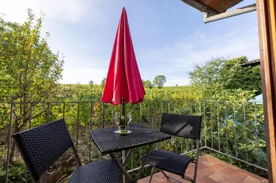 Jardin de l'établissement SARL HARTWEG Les Amandiers