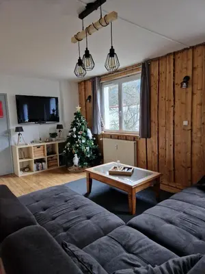 Télévision ou salle de divertissement dans l'établissement Chalet La Zaubette 8 personnes