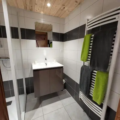 Salle de bains dans l'établissement Hotel du lac des Corbeaux