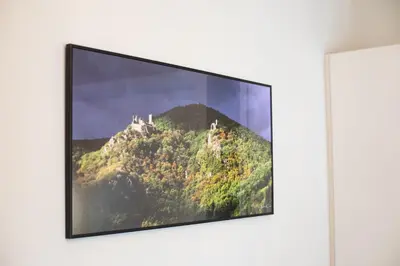 Télévision ou salle de divertissement dans l'établissement Saint Germain