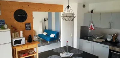 Cuisine ou kitchenette dans l'établissement Appartement 50m du Lac