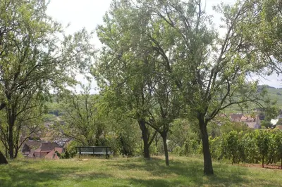 Paysage naturel près de la maison de vacances
