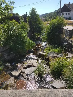Paysage naturel près de l'appartement