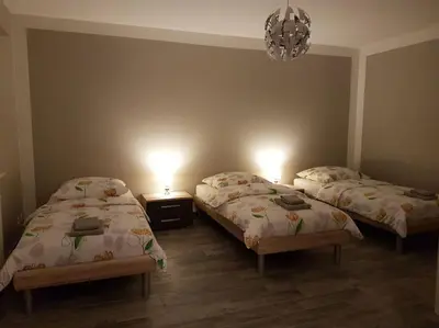 Un ou plusieurs lits dans un hébergement de l'établissement Executive Studios near Basel