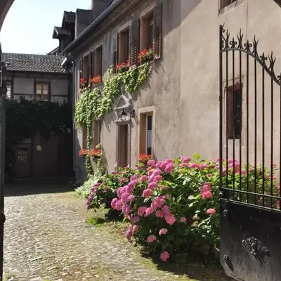 Les Hortensias