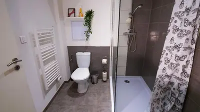 Salle de bains dans l'établissement Le 4 - Très beau appartement T3 Neuf, tout confort, Mulhouse centre ville - stationnement gratuit